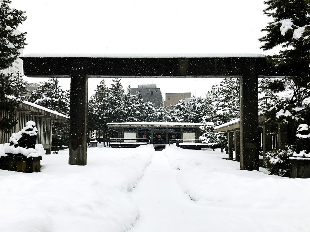福井神社　雪の朝