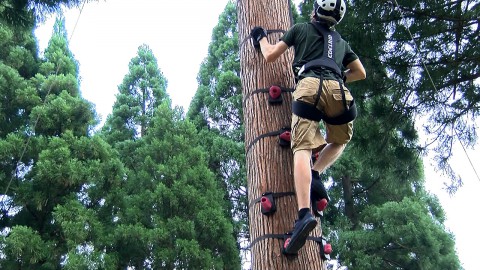 Tree Climb Course, Tree climbing