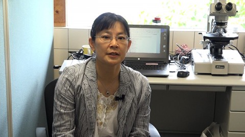 Chief researcher Ms. Kitagawa