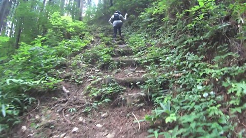 杣山　登山道の階段