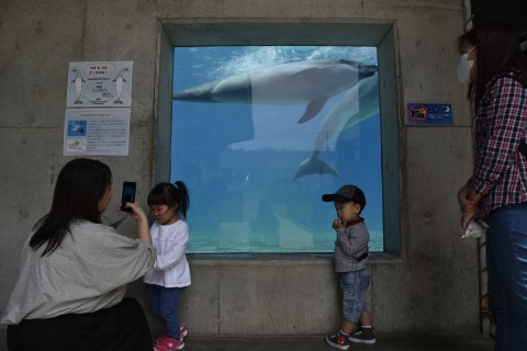 Mr. Ugyen Dorji's son is standing in front of a large dolphin tank