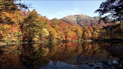 Karikomi Ike Pond in autumn