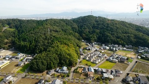 足羽山空撮