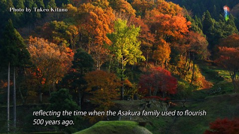 Ichijodani Asakura Clan Ruins