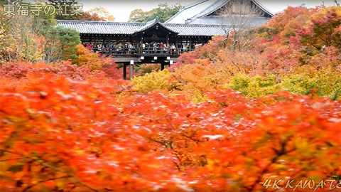 東福寺境内の紅葉と人であふれる通天橋