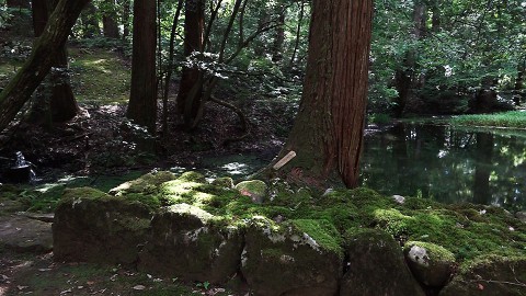 Mitarai Pond