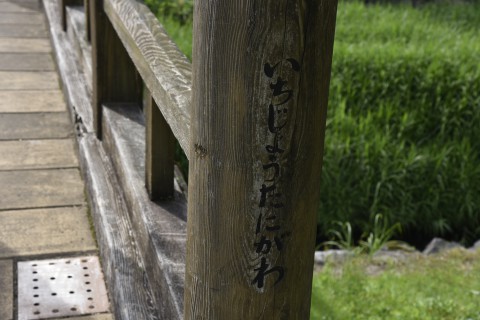 the name of river runs under the bridge, Ichijodani gawa is inscribed on one of the poles of the bridge