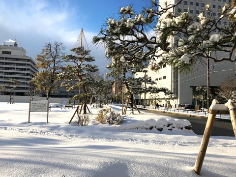 福井城址　雪の中央公園
