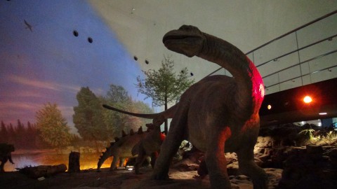 館内の迫力のある恐竜
