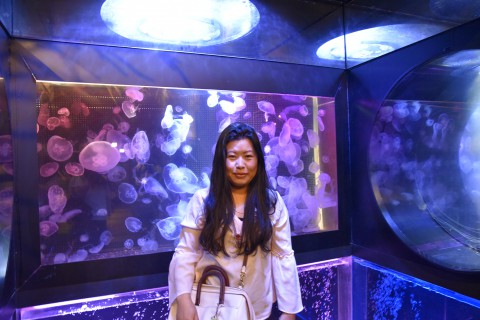 Mr.Ugyen Dorji's sister is standing in front of jelly fish tanks