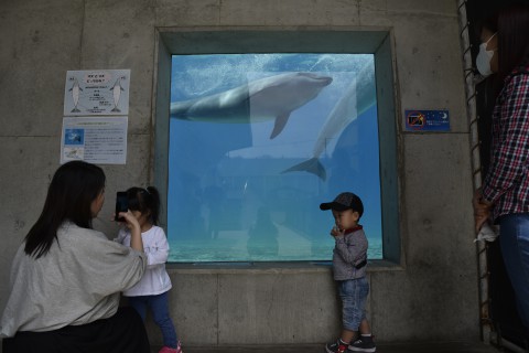 Mr. Ugyen Dorji's son and a girl are standing in front of the large dolphin tank