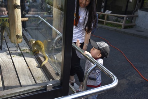 black headed squirrel monkey and 2 years old boy from Bhutan
