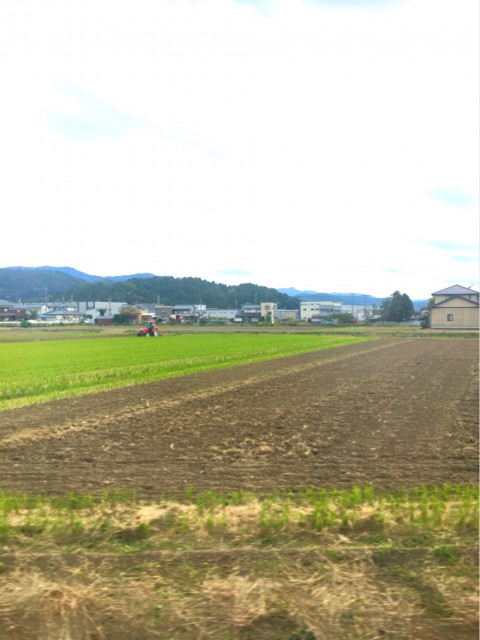 scenery that can be viewed from a train of Echizen Railway 