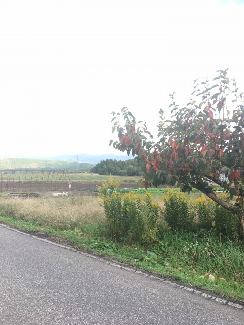 farm road that is about 20 minutes away from JR Awara Station in Fukui Prefecture