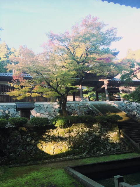 eiheiji garden
