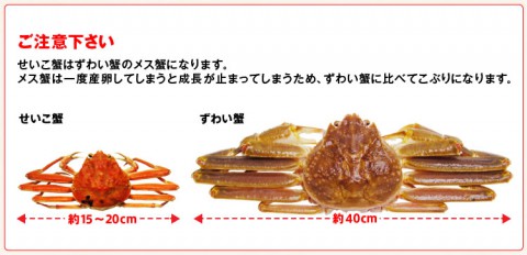 the differences between seiko gani, the female snow crab and zuwai gani, the male one