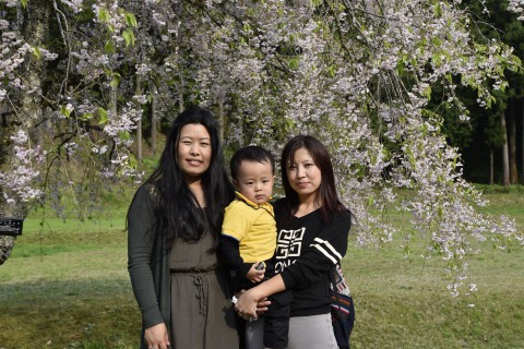 Mr. Ugyen Dorji's wife, son and sister are standing under a beautiful cherry blossom tree at Asakura clan in Fukui