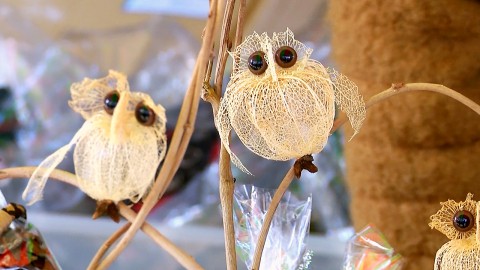 owls made of winter cherries